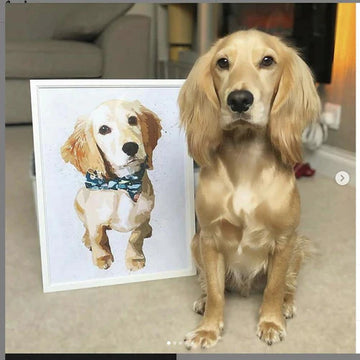 Top 10 Awesome and Unique Gift Ideas For Pet Lovers 2021