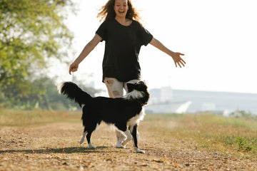 Puppy Care Guide: 10 most important Guideline for the best Dog care.